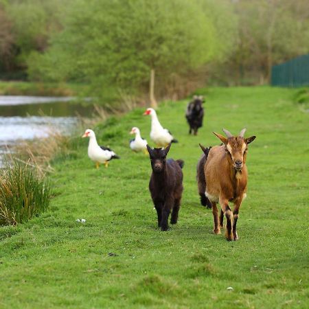 Gîtes de La Ferme de Vur Ven Gouvieux Extérieur photo