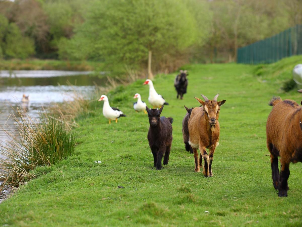 Gîtes de La Ferme de Vur Ven Gouvieux Extérieur photo